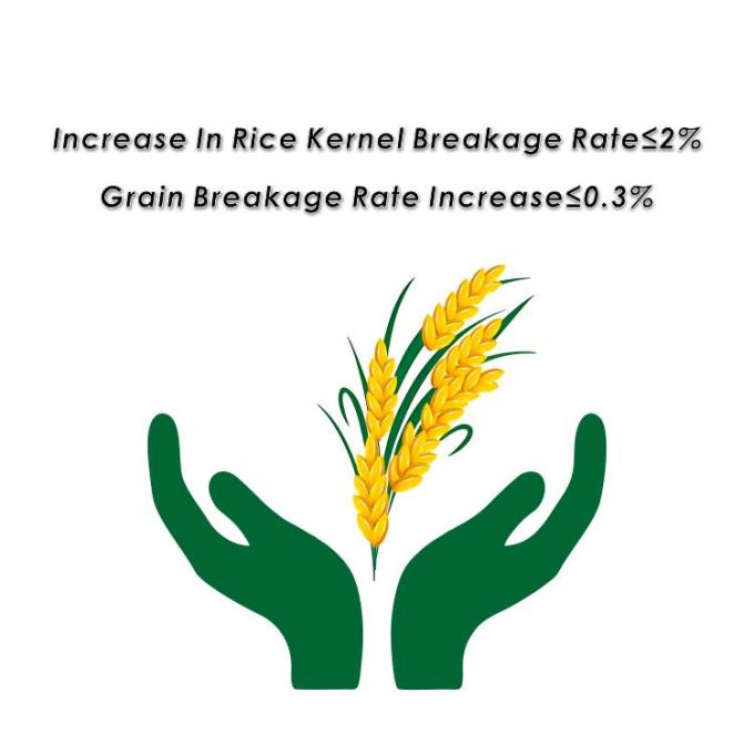 Torre de secador de arroz para secar arroz maíz y otros granos 5HPX-15 9.95kw Dimensión total 2500*4320*10200m 2