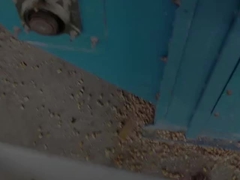 Fabrica de máquinas secadoras de maíz presun secadora de maíz en venta