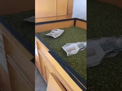 secador de ventilación tipo lecho presun