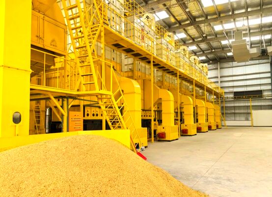 Buen precio 100 toneladas de secador del maíz en grano trabajan a máquina todo el secado de las direcciones en línea