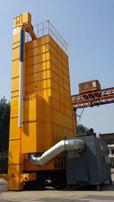 Máquina de secado de arroz de fila de alta velocidad 5HPX-15 10-15 toneladas por lote