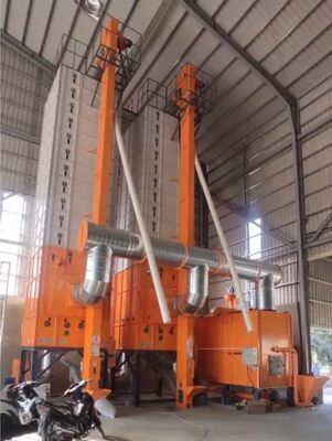 Buen precio 15 toneladas de automatización completa Paddy Dryer crudo cocido al vapor continuo en línea