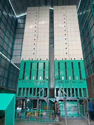 Buen precio Tipo de lote canal multi de la máquina del secador del maíz del maíz de 10TPH que seca capa en línea