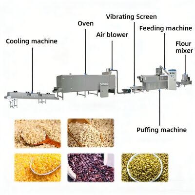 Buen precio Maquinaria para la fabricación de arroz nutricional 500 kg/h Capacidad con acero inoxidable de grado alimenticio y control de temperatura automatizado en línea