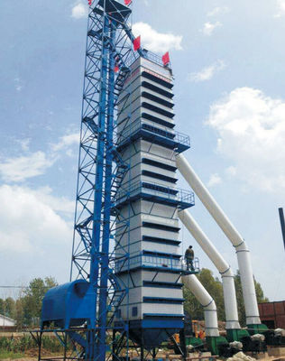 Buen precio Presión negativa de maíz de la sequedad de grano 20TPH del secador mecánico de la mazorca en línea